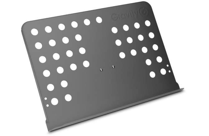 Suport pentru parituri Gravity NS MS 01