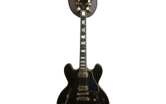 Suport perete chitara Bulldog Wall Dragon - East Indian Rosewood Sunburst- Gold Carrier