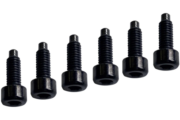 FRP1SLSB - 1000 Series Pro String Lock Screws - 6 pcs. FRP1SLSB - 1000 Series Pro String Lock Screws - 6 pcs.
