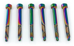 Șuruburi blocare tremolo Floyd Rose  FROSLSBCP - Color Stainless Steel String Lock Screws (6 pcs), Burnt Chrome