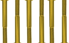 Șuruburi blocare tremolo Floyd Rose  FROSLSGDP - Color Stainless Steel String Lock Screws (6 pcs), Gold