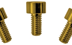 Șuruburi montare prăguș Floyd Rose  FRNCSGDP - Color Stainless Steel Nut Clamping Screws (3 pcs), Gold