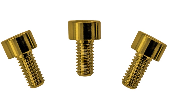 Șuruburi montare prăguș Floyd Rose  FRNCSGDP - Color Stainless Steel Nut Clamping Screws (3 pcs), Gold