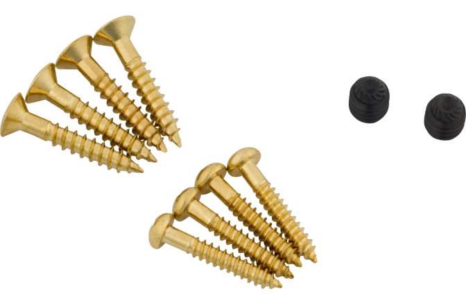 Suruburi pentru Bigsby Bigsby Screw Pack Gold