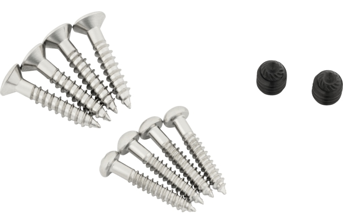 Suruburi pentru Bigsby Bigsby Screw Pack Steel