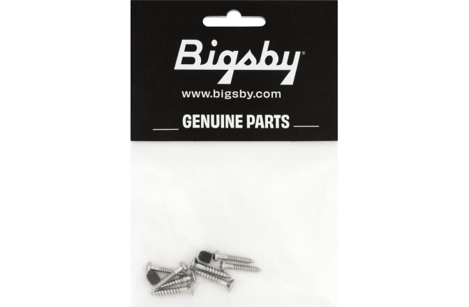 Suruburi pentru Bigsby Bigsby Screw Pack Steel