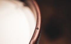 Tar Meinl Synthetic Head Tar - 22" African Brown