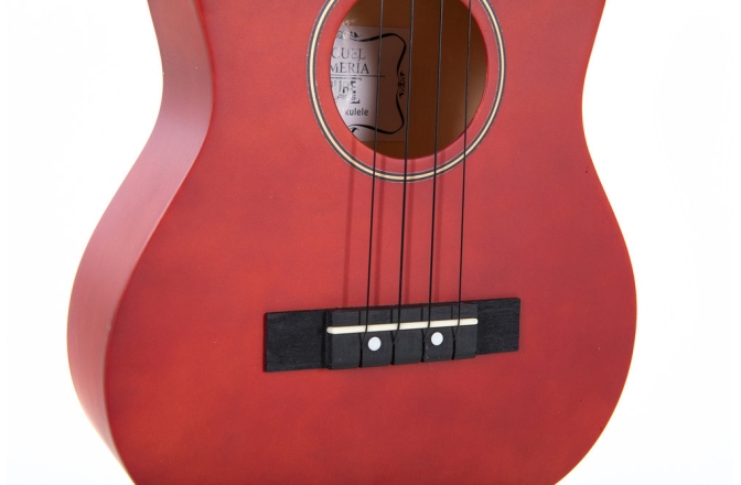 Tenor Ukulele Almeria tei lac mat nuantat 