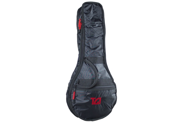 Transit Mandolin Flatback Transit Mandolin Flatback