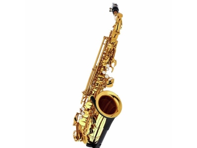  Little Bee Kids Saxophone