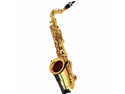 Little Bee Kids Saxophone Set