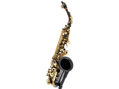  TAS-180 Black Alto Saxophone