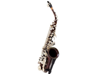 TAS-180 Vintage Alto Saxophone