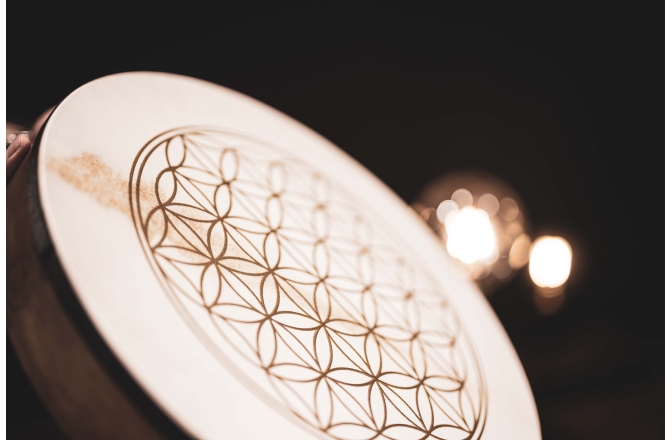 Tobă de Mână Meinl Hand Drum 16" / 40.6 cm - Flower Of Life