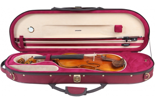 Mezza Luna Violin Case
