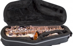 Toc saxofon alto Champion Alto Sax Case