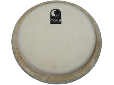 Player´s Series Conga & Bongo 7