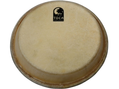 Traditional Series Conga & Bongo 8 1/2