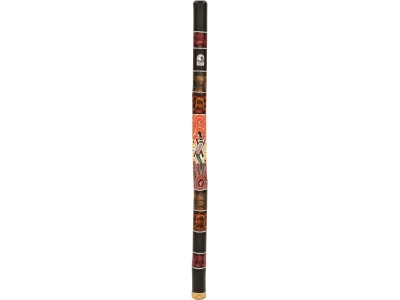 World Percussion Bamboo Didgeridoos Gecko  DIDG-PG