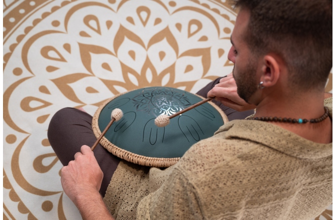 Tongue Drum F# minor Meinl Sonic Energy 16'' Octave Steel Tongue Drum, F# Minor, 9 Notes, 432 Hz, Dark Green, Engraved floral design