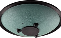 Tongue Drum Si minor Meinl Sonic Energy 10'' Compact Steel Tongue Drum, B Minor, 8 Notes, 432 Hz, Dark Green