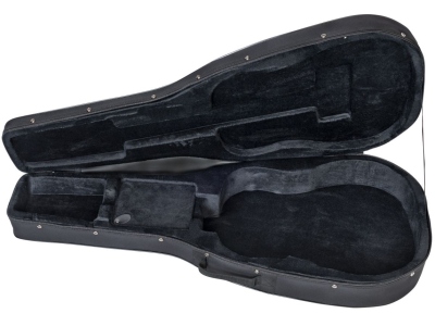 TFS/D Dreadnought Guitar Foam Case