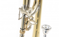 Trombon Roy Benson Bb/C Children's Trombone TT-200