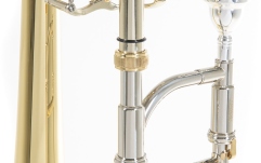 Trombon Roy Benson  BB/F-Tenor TT-236F 