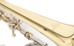 Trombon Roy Benson  BB/F-Tenor TT-236F 