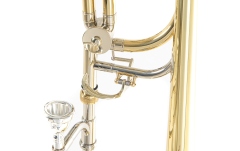 Trombon Roy Benson  BB/F-Tenor TT-236F 