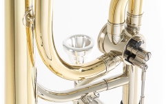 Trombon Roy Benson  BB/F-Tenor TT-236F 
