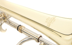 Trombon Roy Benson Bb/F(Gb)- Tenor TT-227F 