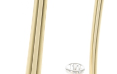 Trombon Roy Benson Bb-Tenor  TT-227 