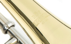 Trombon Roy Benson Eb-Alt  AT-201