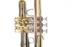 Trompetă Bach TR-501