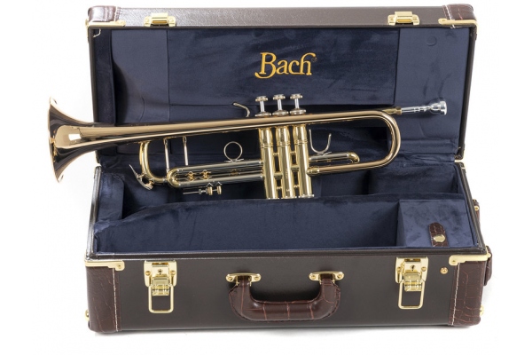 Trompeta Bb 180-37 Stradivarius 180-37G