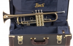 Trompetă Bach Trompetă Bb LT180-43 Stradivarius 