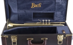 Trompeta Bb Bach Trompeta Bb LR180-37 Stradivarius 