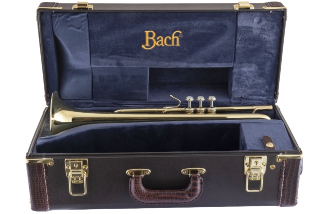 Trompeta Bb Bach Trompeta Bb LR180-37 Stradivarius 