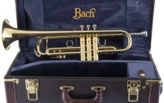Trompeta Bb Bach Trompeta Bb LR180-37 Stradivarius 