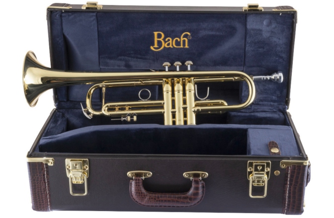 Trompeta Bb Bach Trompeta Bb LR180-37 Stradivarius 