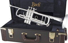 Trompeta Bb Bach Trompeta Bb LT180-72 Stradivarius 
