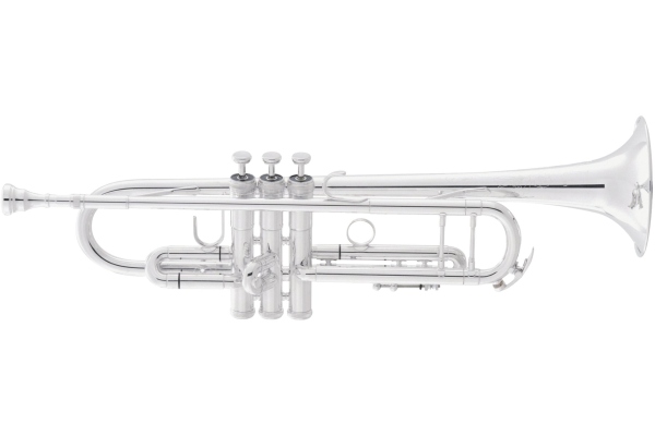 2055T Silver Flair 
