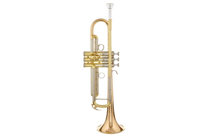 Trompeta Bb (Si bemol) Yamaha YTR-8335RG 04 Gold