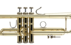 B-Trompeten Vincent Bach Bb Trumpet LR180-37 Stradivarius