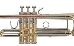 Trompeta in Si bemol (Bb) Bach TR-450
