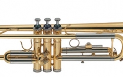 Trompeta J.Michael TR-200P