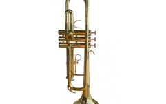 Trompetă  Parrot 6416L-1 Trumpet