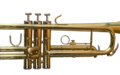 Trompetă  Parrot 6416L-1 Trumpet