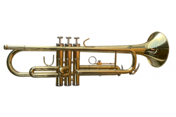 6416L-1 Trumpet
